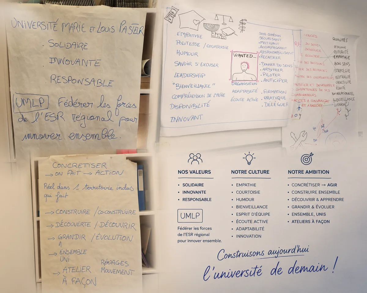 Supports de réflexion issus d'ateliers de management et de transformation